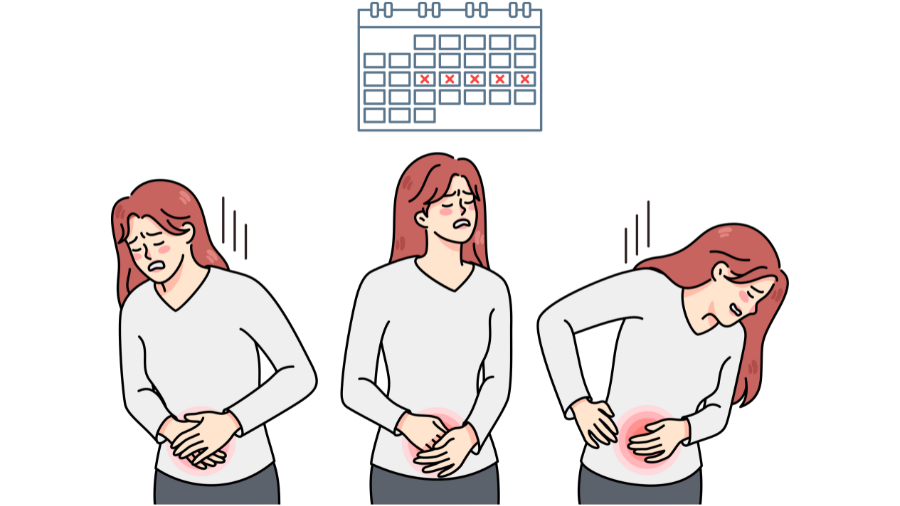 Painful Menstrual Periods ( Dysmenorrhea )